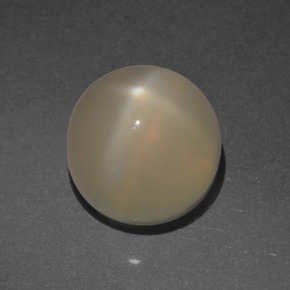 Pietra di luna stellata Color crema naturale da 4.53 ct, Taglio rotondo, Traslucido