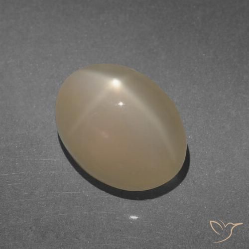 8.47ct Naturale Marrone chiaro caldo Warm Pietra di luna stellata, Ovale, Traslucido
