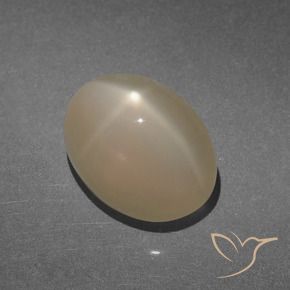 Pietra di luna stellata Marrone chiaro caldo Warm naturale da 8.47 ct, Ovale, Traslucido