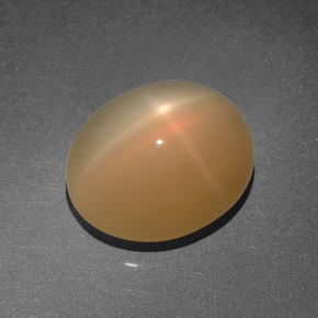 Pietra di luna stellata naturale arancione da 8,03 ct, taglio ovale, traslucido