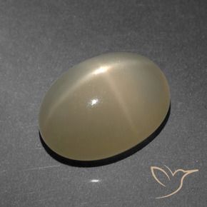 Pietra di luna stellata Marrone chiaro naturale da 8.25 ct, Ovale, Traslucido
