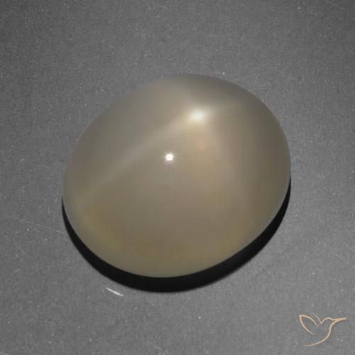 6.13ct Naturale Marrone chiaro Pietra di luna stellata, Ovale, Traslucido, Photo A