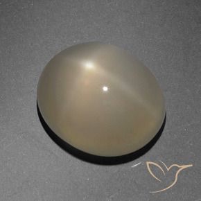 Pietra di luna stellata Marrone chiaro naturale da 6.13 ct, Ovale, Traslucido