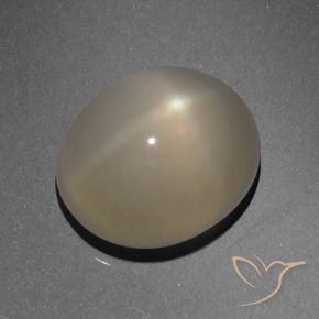 Pietra di luna stellata Marrone chiaro naturale da 6.13 ct, Ovale, Traslucido