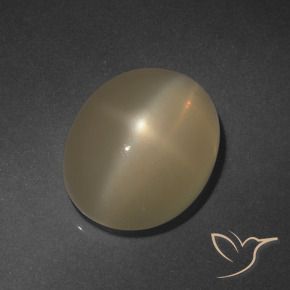 Pietra di luna stellata Marrone chiaro naturale da 6.37 ct, Ovale, Traslucido