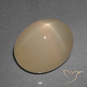 Pietra di luna stellata Marrone chiaro naturale da 5.74 ct, Ovale, Traslucido