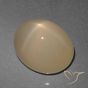 Pietra di luna stellata Marrone chiaro naturale da 5.74 ct, Ovale, Traslucido
