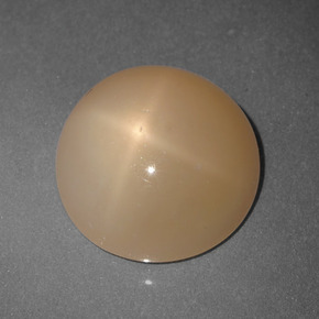 Pietra di luna stellata Cantalupo Arancia naturale da 5.65 ct, Taglio rotondo, Traslucido