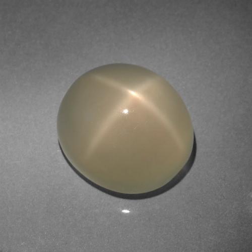 Pietra di luna stellata Oro chiaro naturale da 7.61 ct, Taglio ovale, Traslucido