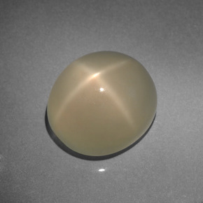 Pietra di luna stellata Oro chiaro naturale da 7.61 ct, Taglio ovale, Traslucido
