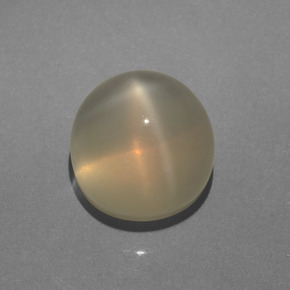 Pietra di luna stellata naturale crema da 6,28 ct, taglio rotondo, traslucido