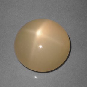 Pietra di luna stellata pesca crema naturale da 5.89 ct, Taglio rotondo, Traslucido