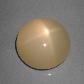 Pietra di luna stellata pesca crema naturale da 5.89 ct, Taglio rotondo, Traslucido