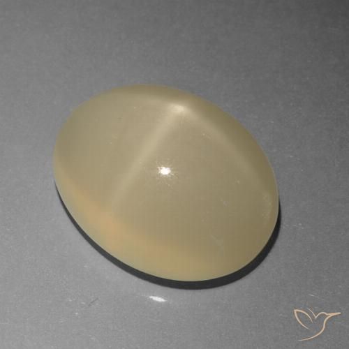 6.77ct Naturale Marrone Caffè Chiaro Pietra di luna stellata, Ovale, Traslucido