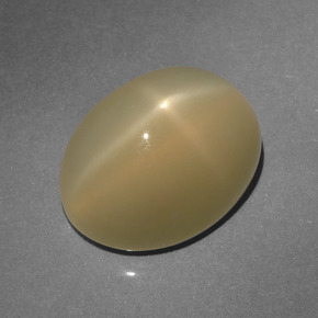 Pietra di luna stellata naturale marrone da 6,64 ct, taglio ovale, traslucido