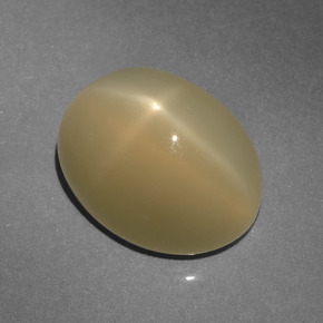 Pietra di luna stellata naturale marrone da 6,64 ct, taglio ovale, traslucido