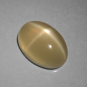 Pietra di luna stellata Tortilla Marrone Chiaro naturale da 6.89 ct, Taglio ovale, Traslucido