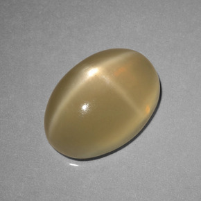 Pietra di luna stellata Tortilla Marrone Chiaro naturale da 6.89 ct, Taglio ovale, Traslucido