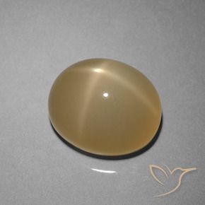 Pietra di luna stellata Marrone giallastro naturale da 8.51 ct, Ovale, Traslucido