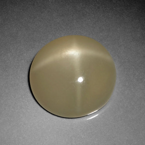 Pietra di luna stellata Color crema naturale da 7.84 ct, Taglio rotondo, Traslucido