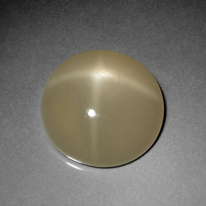 Pietra di luna stellata Color crema naturale da 7.84 ct, Taglio rotondo, Traslucido