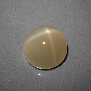Pietra di luna stellata naturale marrone da 8,73 ct, taglio rotondo, traslucido