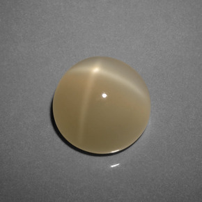 Pietra di luna stellata naturale marrone da 8,73 ct, taglio rotondo, traslucido
