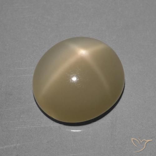 6.68ct Naturale Marrone Giallo Chiaro Pietra di luna stellata, Ovale, Traslucido, Photo A