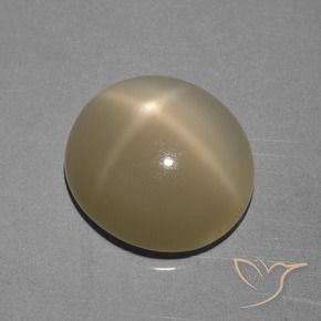 Pietra di luna stellata Marrone Giallo Chiaro naturale da 6.68 ct, Ovale, Traslucido