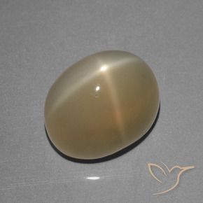 Pietra di luna stellata Marrone chiaro naturale da 8.39 ct, Ovale, Traslucido