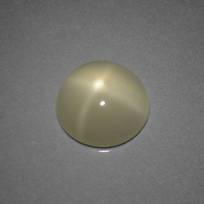 Pietra di luna stellata naturale crema da 3,68 ct, taglio rotondo, traslucido