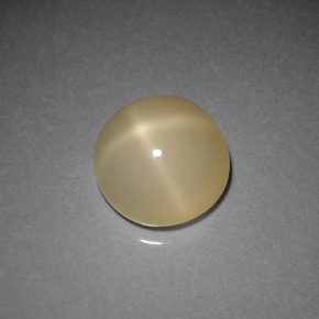 Pietra di luna stellata Color crema naturale da 4.36 ct, Taglio rotondo, Traslucido