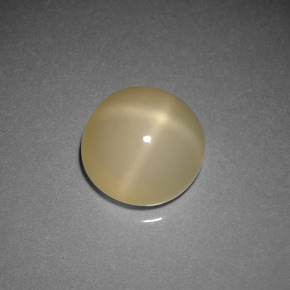 Pietra di luna stellata Color crema naturale da 4.36 ct, Taglio rotondo, Traslucido