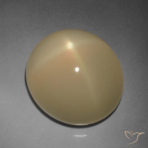 11.20ct Naturale Tortilla Marrone Chiaro Pietra di luna stellata, Ovale, Traslucido, Photo A