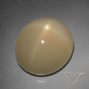 Pietra di luna stellata Tortilla Marrone Chiaro naturale da 11.20 ct, Ovale, Traslucido