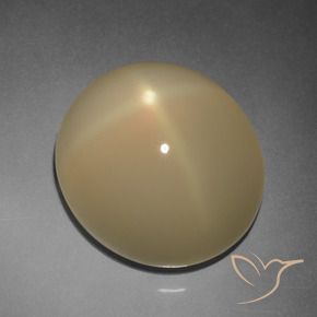 Pietra di luna stellata Tortilla Marrone Chiaro naturale da 11.20 ct, Ovale, Traslucido