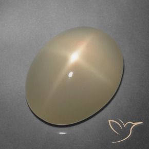 Pietra di luna stellata Marrone chiaro naturale da 9.91 ct, Taglio ovale, Traslucido