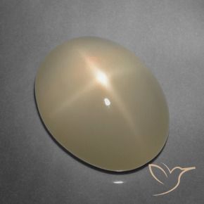 Pietra di luna stellata Marrone chiaro naturale da 9.91 ct, Taglio ovale, Traslucido