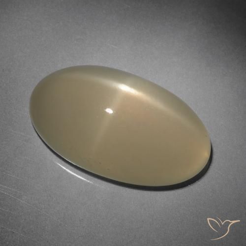 10.15ct Naturale Marrone chiaro Pietra di luna stellata, Ovale, Traslucido