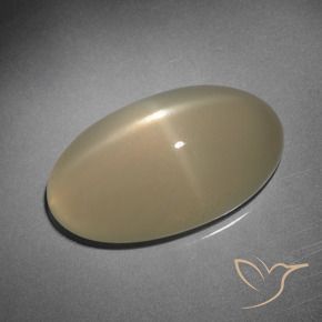 Pietra di luna stellata Marrone chiaro naturale da 10.15 ct, Ovale, Traslucido