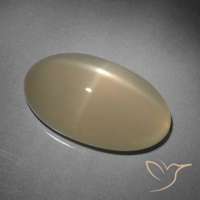 Pietra di luna stellata Marrone chiaro naturale da 10.15 ct, Ovale, Traslucido