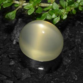 Pietra di luna stellata Giallo chiaro naturale da 11.57 ct, Taglio ovale, Traslucido