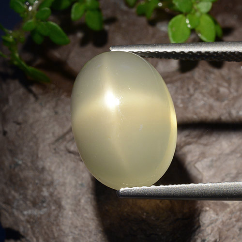 Pietra di luna stellata naturale giallo da 7,58 ct, taglio ovale, traslucido