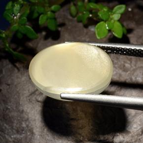 Pietra di luna stellata naturale giallo da 7,58 ct, taglio ovale, traslucido