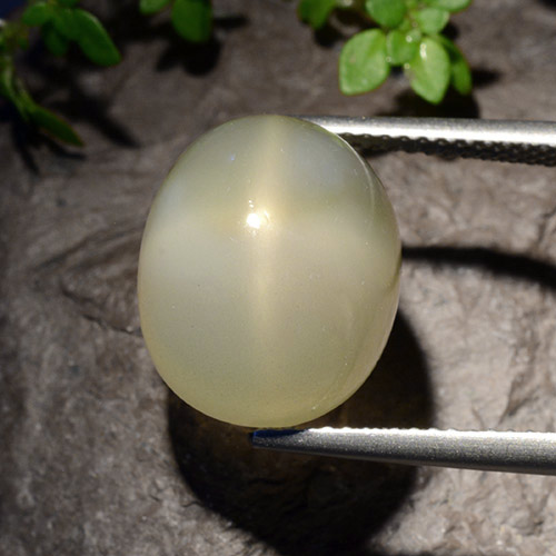 Pietra di luna stellata naturale bianco da 11,40 ct, taglio ovale, traslucido