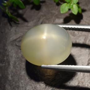 Pietra di luna stellata naturale bianco da 11,40 ct, taglio ovale, traslucido