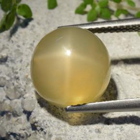 Pietra di luna stellata Giallo medio naturale da 7.32 ct, Taglio rotondo, Traslucido