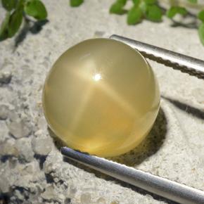 Pietra di luna stellata Giallo medio naturale da 7.32 ct, Taglio rotondo, Traslucido