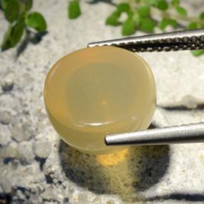 Pietra di luna stellata Giallo medio naturale da 7.32 ct, Taglio rotondo, Traslucido