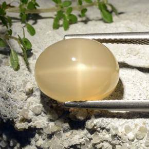 Pietra di luna stellata naturale giallo da 7,68 ct, taglio ovale, traslucido